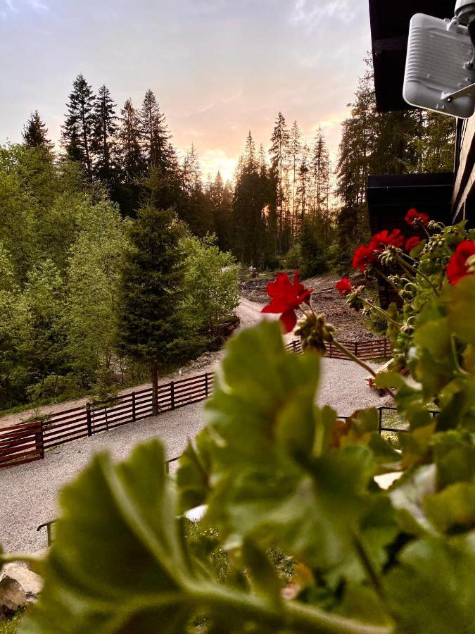 Roua Bucovinei Villa Sadova  Eksteriør bilde